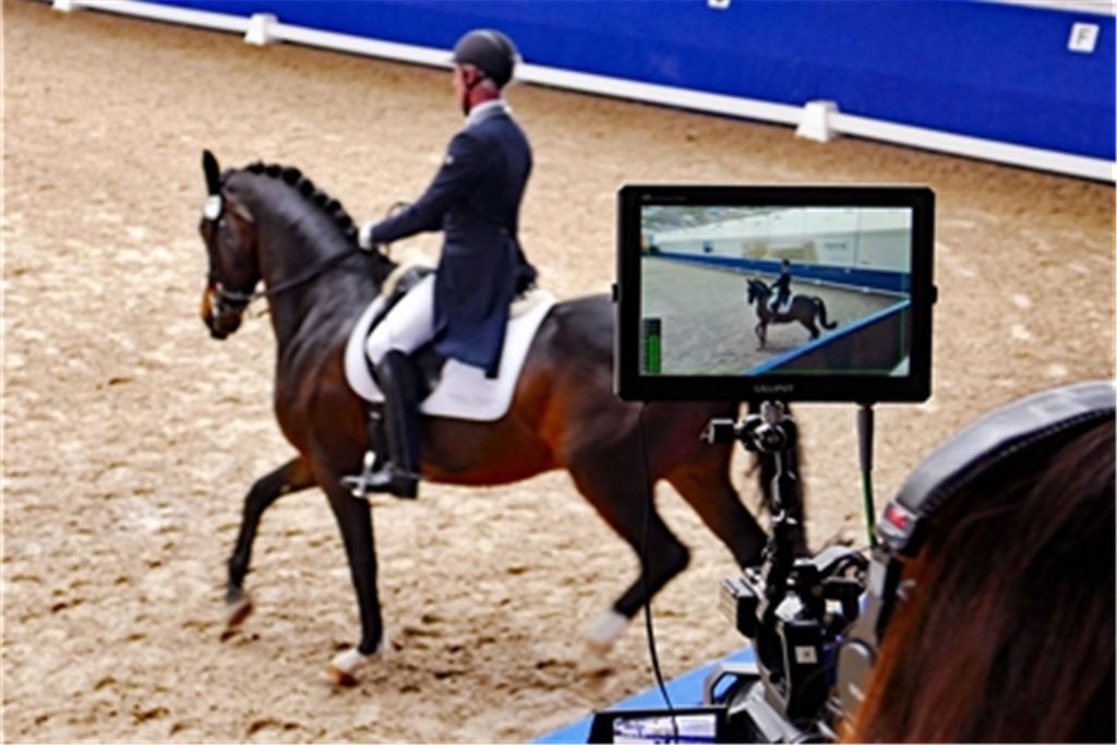  Andreas Platzdasch vom RC Renningen reitet den Hannoveraner Wallach Rookie. Fotos: Roth