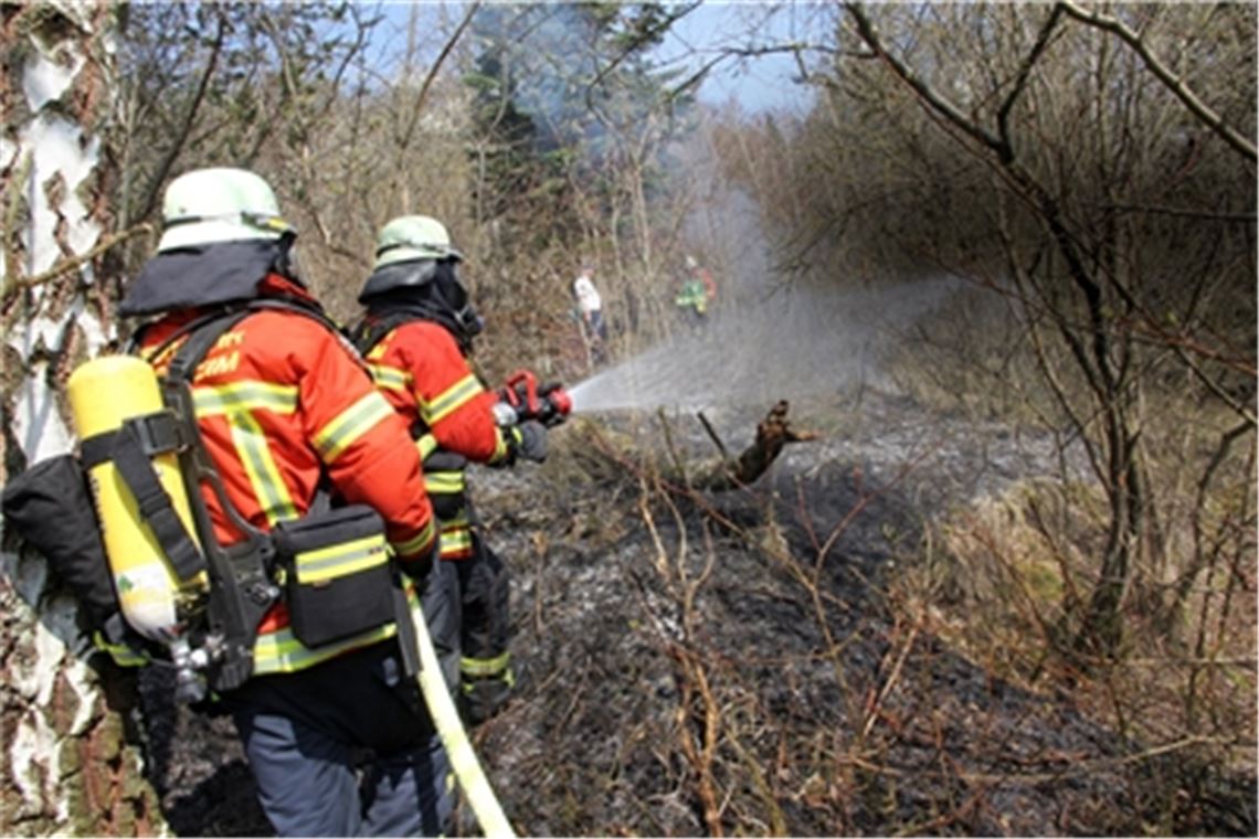 Waldbrand-Gefahr: Das Risiko steigt Foto: Archiv
