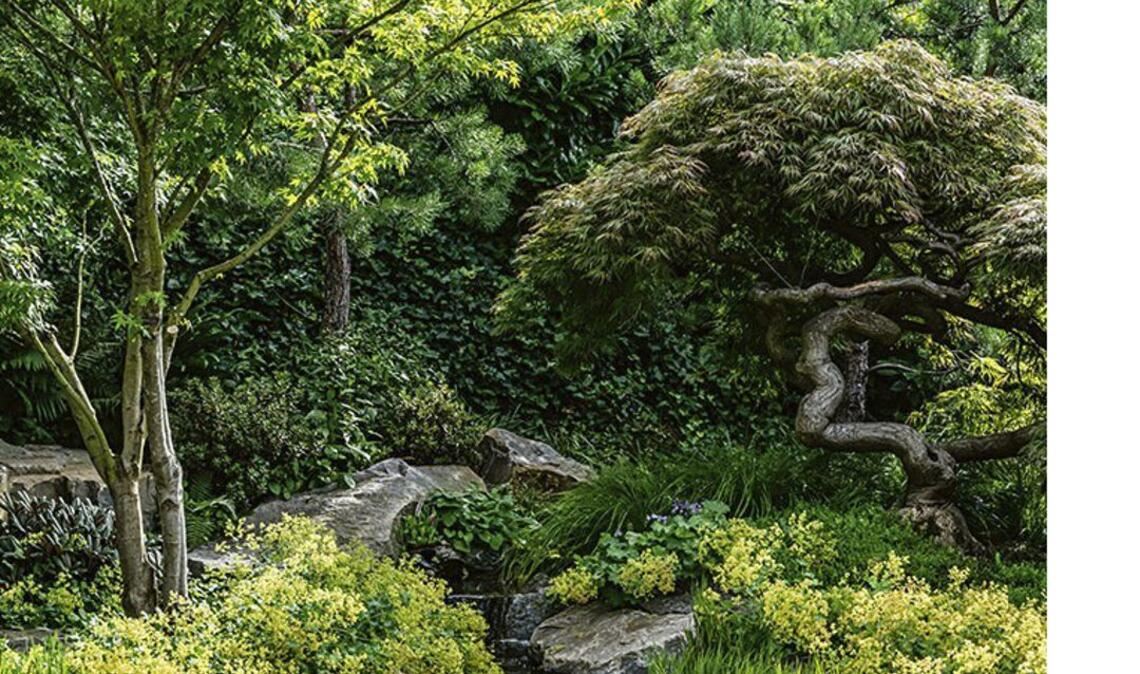 . . . ein Bachlauf mit einem kleinen Wasserfall sorgt für Sommerfrische.