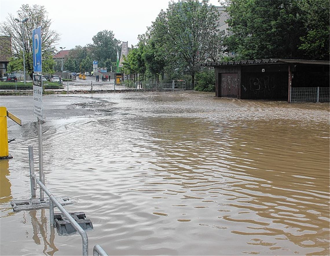 ... und 2013 am Erlenbach.