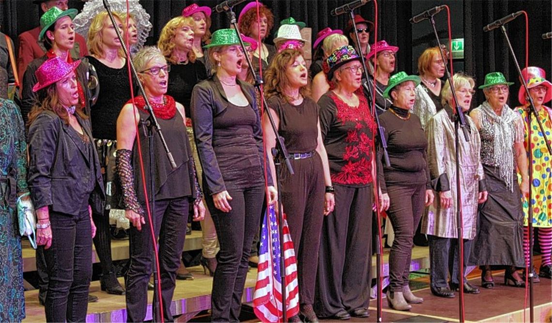 Perfekte Musical-Show