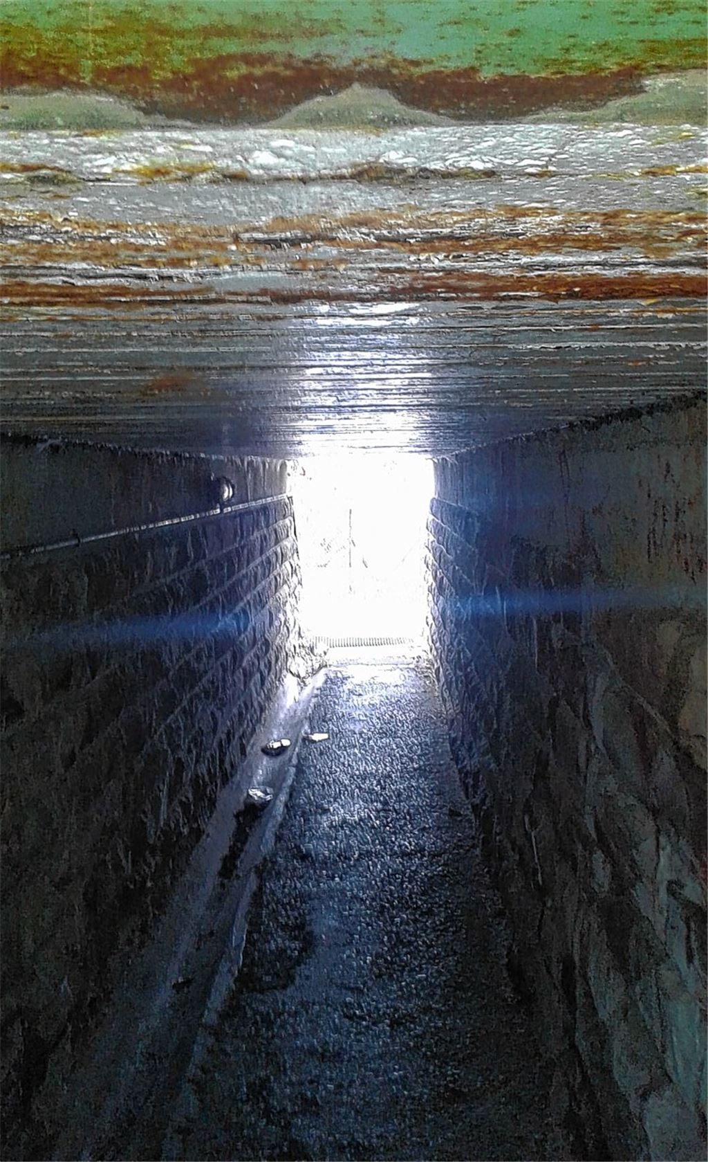 Kinder lieben Döner und keine Disteln