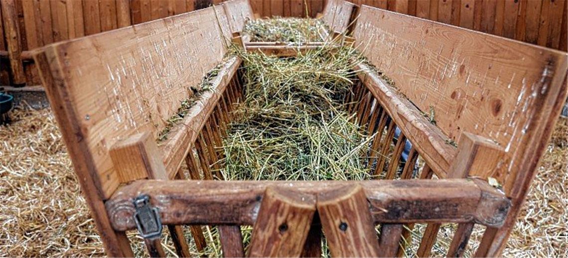 Kraftquellen auf vier Beinen Kraftquellen auf vier Beinen