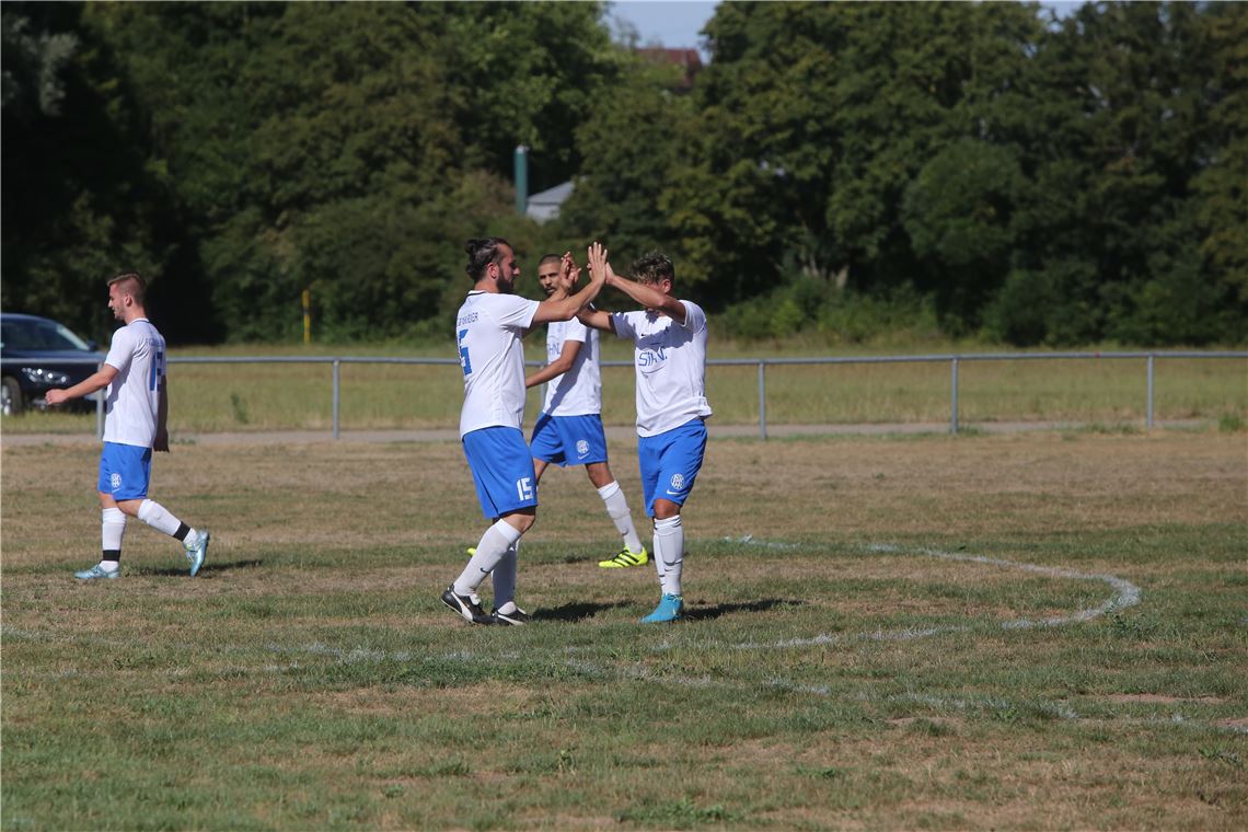lh Pokal Türkischer SV 08 Mühlacker 120818 (17)