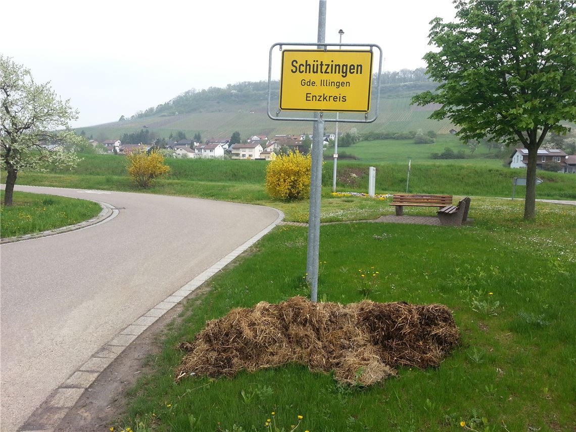 911_0008_37935_lh_Maischerz_Gegenschlag_Guendelbach