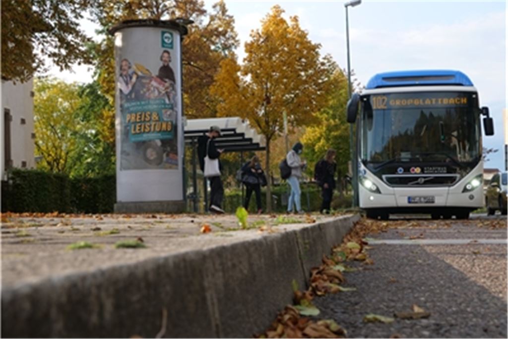 16 oder 18 Zentimeter: Wie hoch der Bordstein an einer Bushaltestelle sein soll, das entscheiden die Kommunen selbst. Der Nahverkehrsplan lässt ihnen dabei Spielraum. Foto: Friedrich