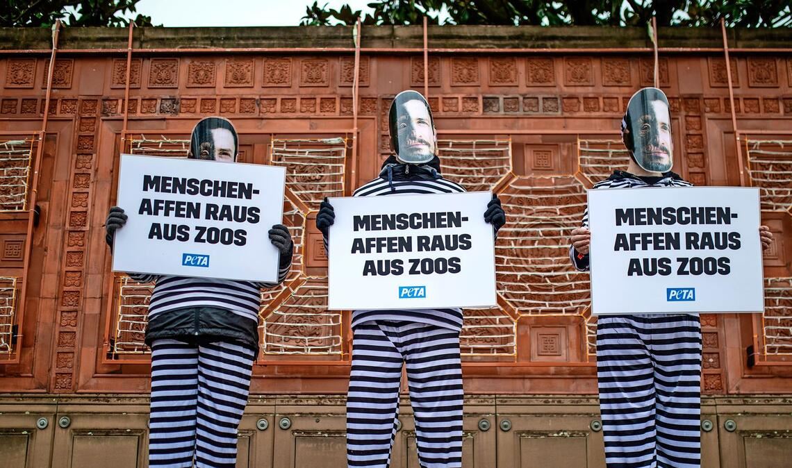 2025 protestierte die Tierschutzorganisation Peta  gegen Affenhaltung in Zoos. Auch die  Tierschutzpartei sieht Zoos generell eher kritisch.