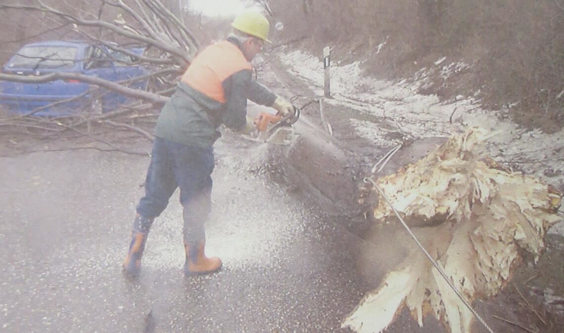 26. Dezember 1999: Ein umgestürzter Baum auf der B10 bei Illingen fällt auf einen Personenwagen. Die Helfer sind im Dauereinsatz. Fotos: Archiv