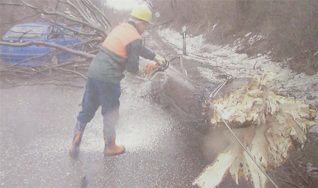 26. Dezember 1999: Ein umgestürzter Baum auf der B10 bei Illingen fällt auf einen Personenwagen. Die Helfer sind im Dauereinsatz. Fotos: Archiv