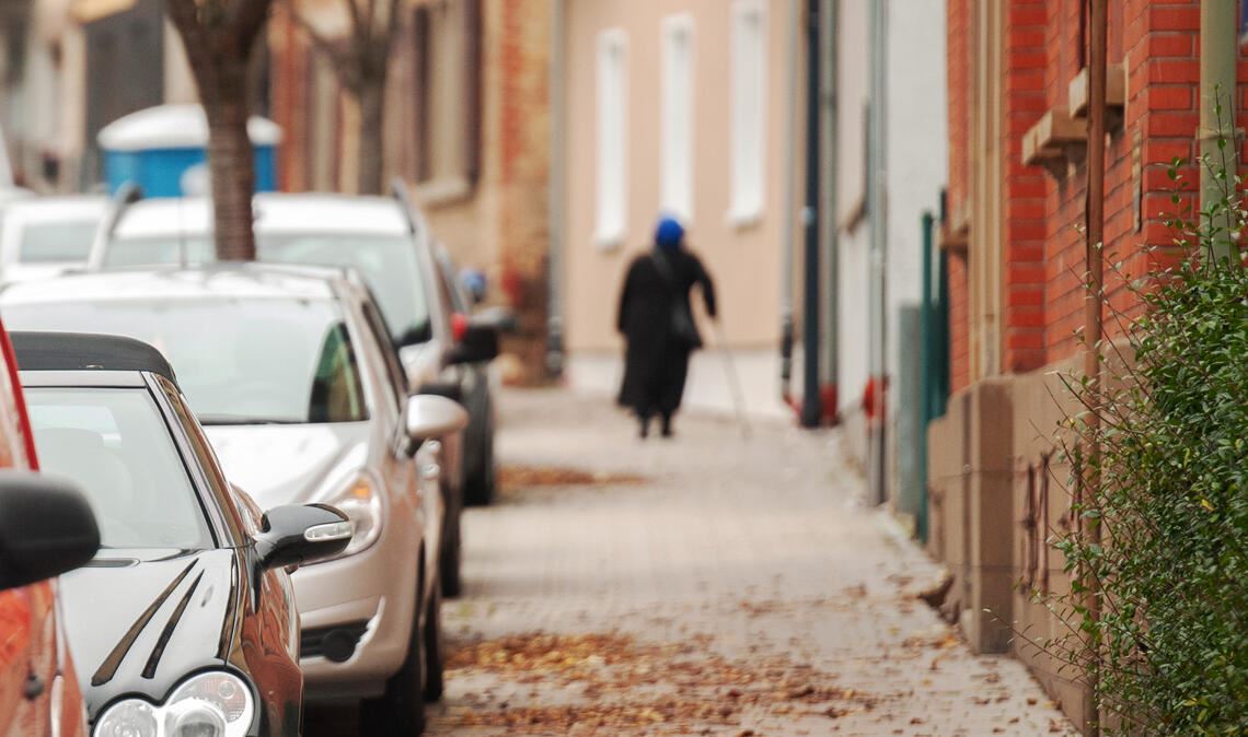 28 Prozent der in Mühlacker lebenden Menschen haben einen ausländischen Pass. Foto: Archiv