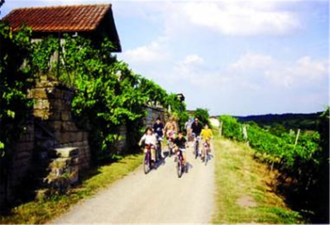 29 neue Radrouten durch die Region will der Tourismusverband ausweisen. Foto: Garhöfer