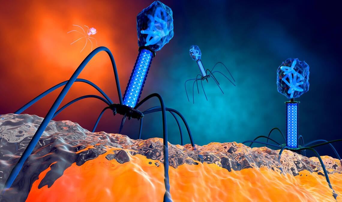 3-D-Illustration eines Bakteriophagen-Virus.