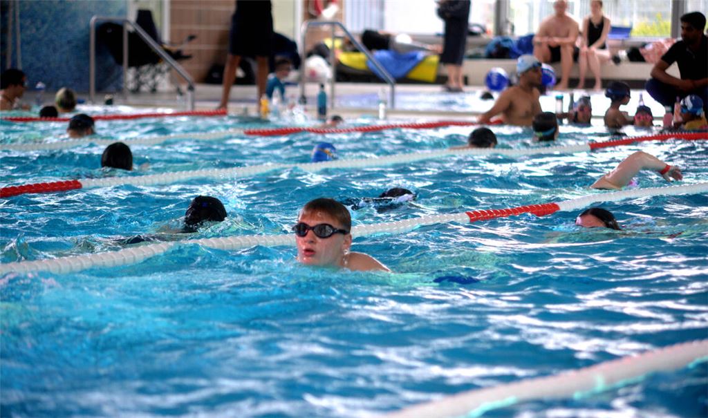 399 Schwimmerinnen und Schwimmer bevölkern das Hallenbad Mühlacker beim 23. 24-Stunden-Schwimmen. Fotos: Stahlfeld
