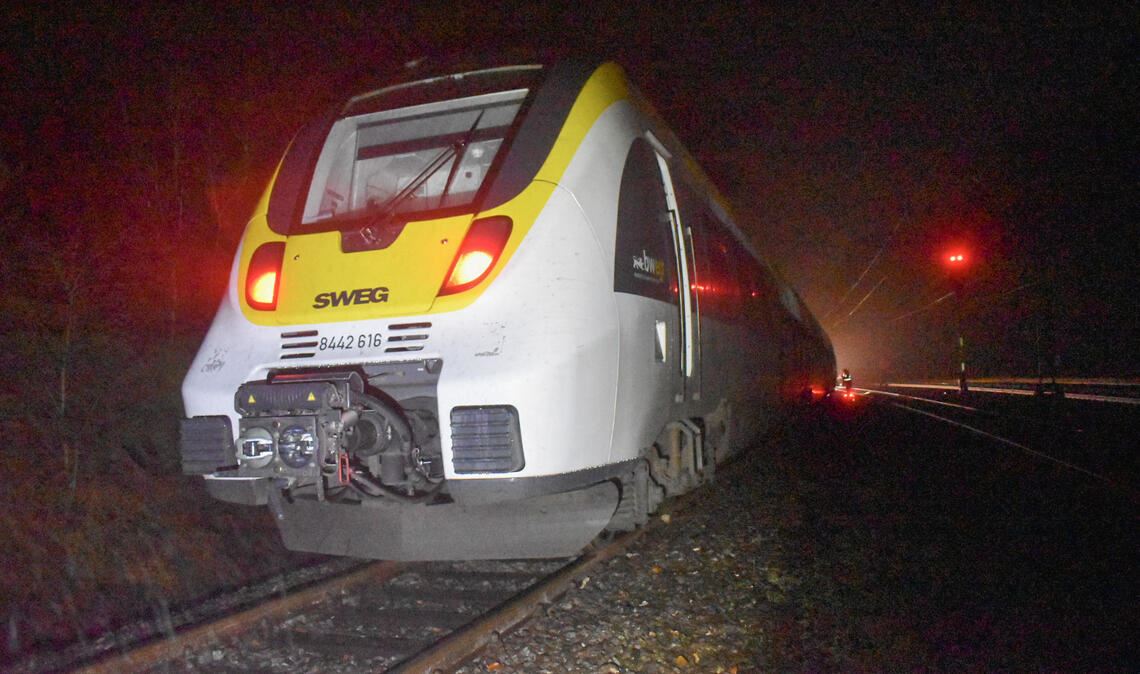 4. Dezember bei Maulbronn-West: Die Regionalbahn auf dem Weg nach Bretten/Bruchsal strandet auf einem Gleis ohne Oberleitung. Foto: Myroshnichenko