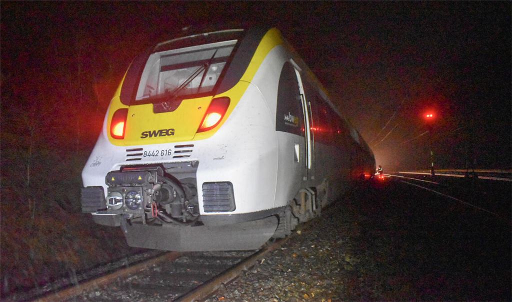 4. Dezember bei Maulbronn-West: Die Regionalbahn auf dem Weg nach Bretten/Bruchsal strandet auf einem Gleis ohne Oberleitung. Foto: Myroshnichenko