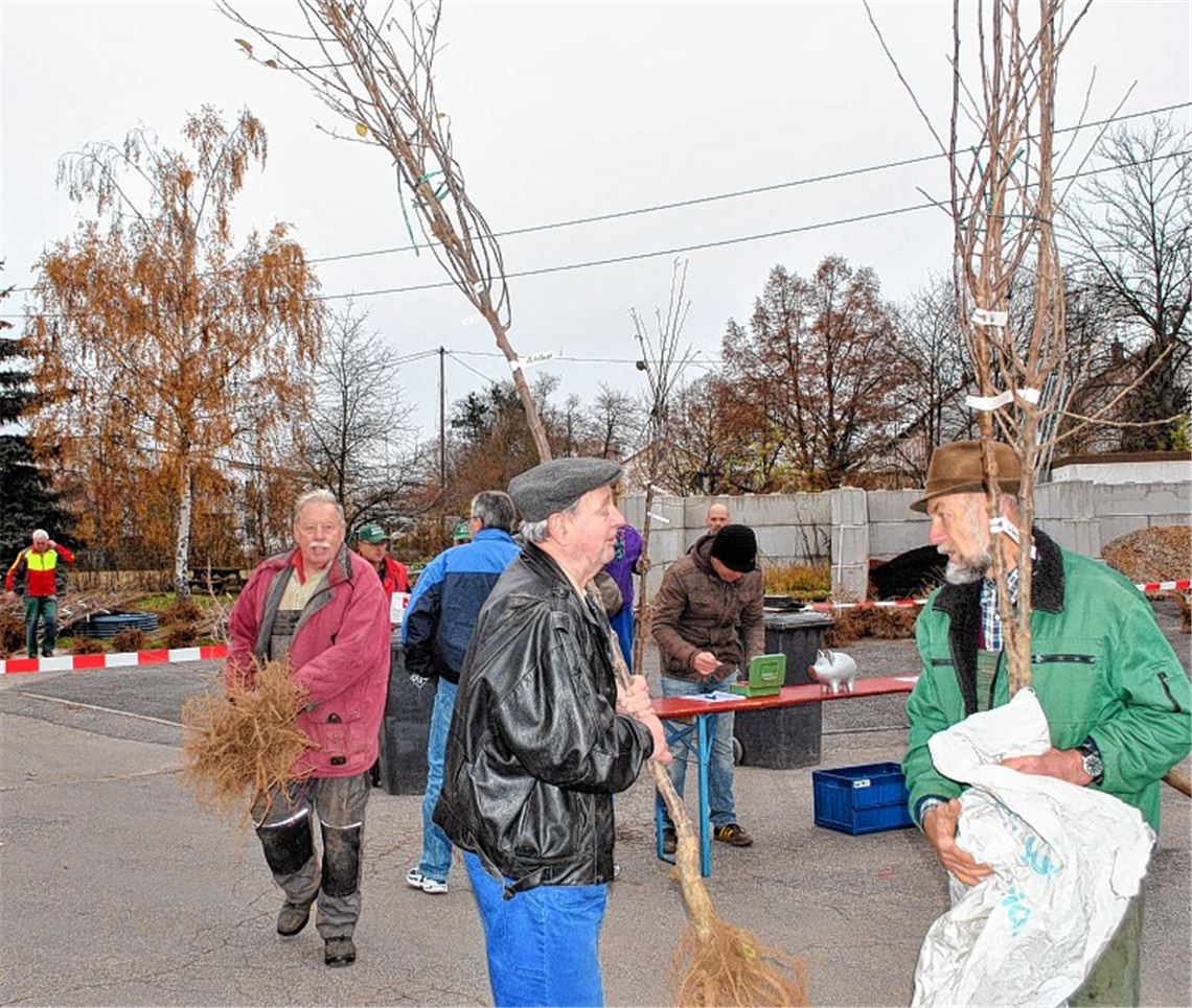 400 Bäume werden bei der Aktion zur Obstbaumförderung in Illingen abgeholt. 