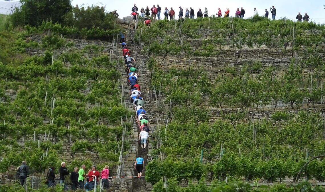 401 Stufen geht es beim Stäffele-Team-Lauf hinauf.