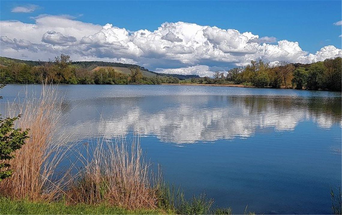 Frühlingsgefühle Frühlingsgefühle