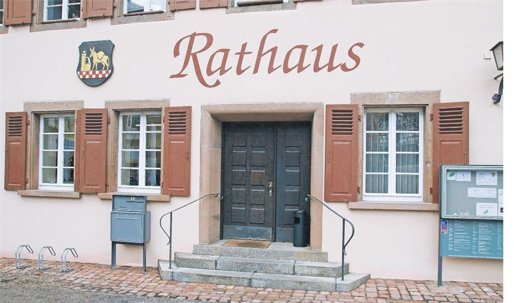 Aaron Treut wird Bürgermeister von Maulbronn. Foto: Archiv