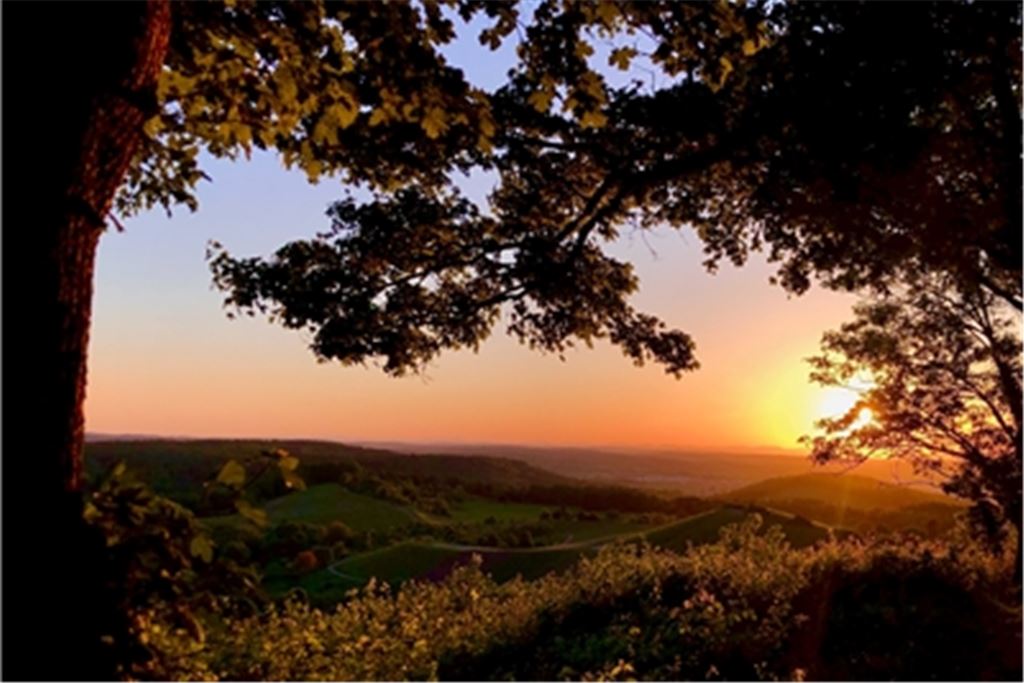 Abendblick vom Schlossberg in Sternenfels. Foto: Petra Ose