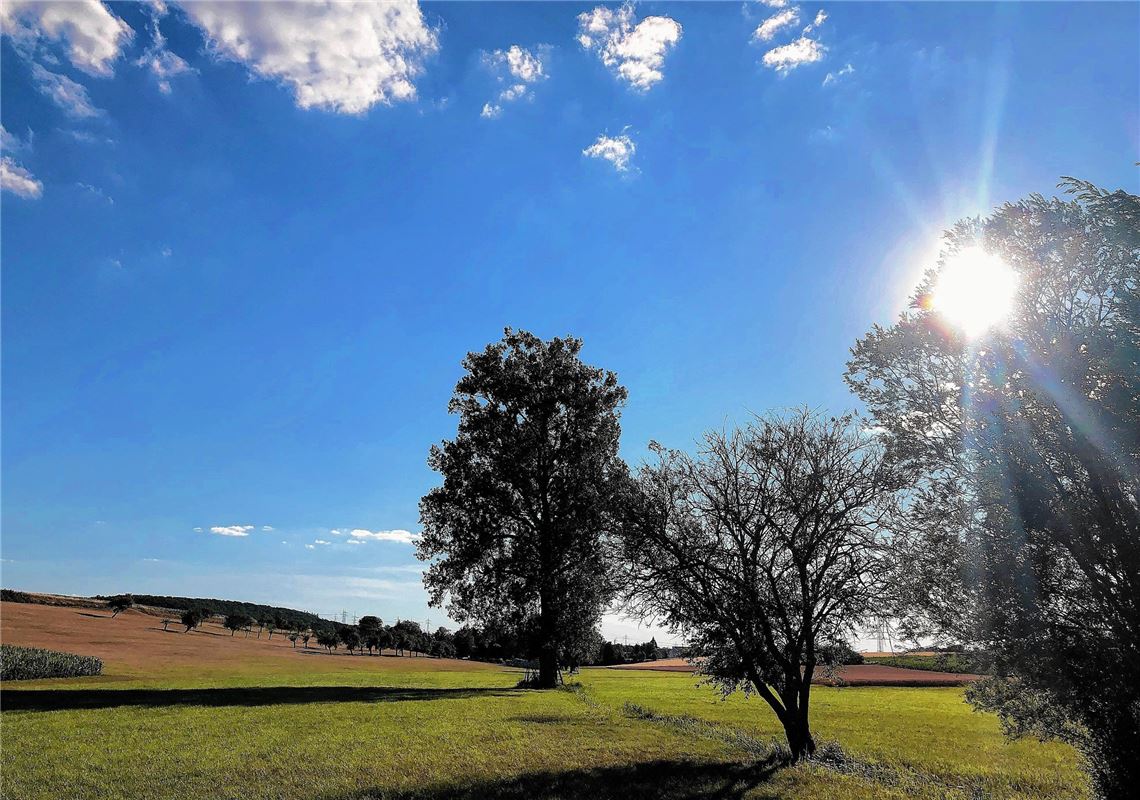 Sommerzeit