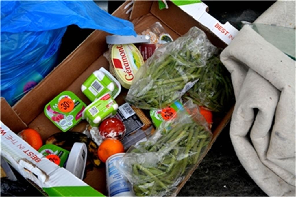 Abfälle aller Art haben Unbekannte an den Containern beim Einkaufszentrum Schrammel entsorgt. Verstöße wie diese kommen häufig vor. Fotos: Stahlfeld