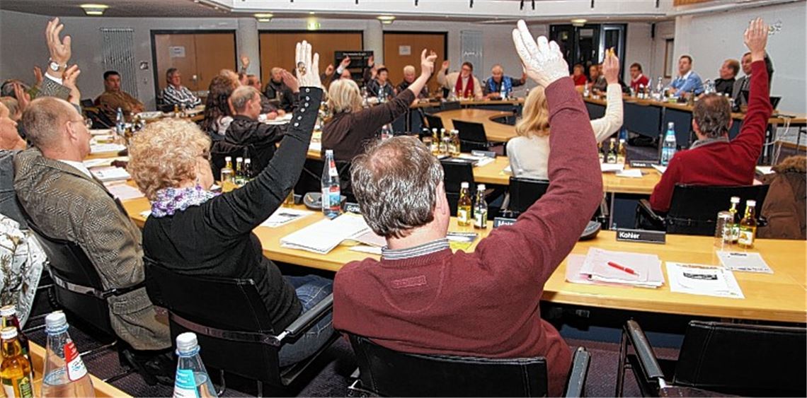 Abstimmung im Mühlacker Gemeinderat: Ende Mai wird gewählt, und noch sind die Parteien und Fraktionen fieberhaft auf der Suche nach Bewerbern für ihre Wahllisten. Archivfoto: Sadler