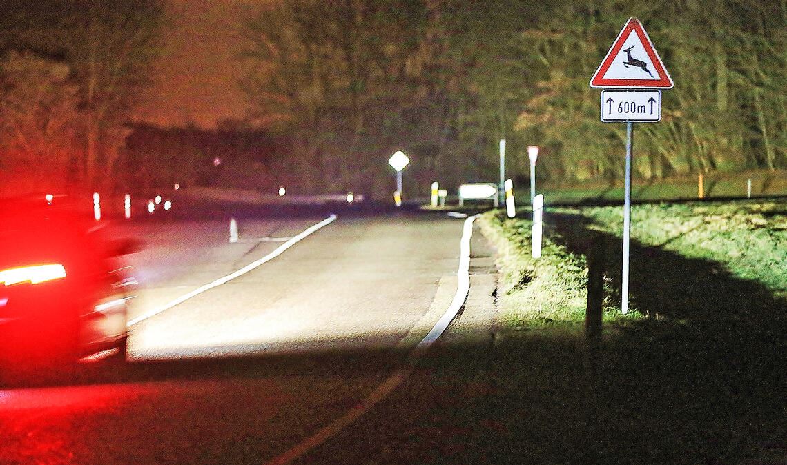 Achtung Wildwechsel! Im Enzkreis sollen neuen Konzepte zur Vermeidung von Unfällen mit Wild erprobt werden. Foto: Landratsamt