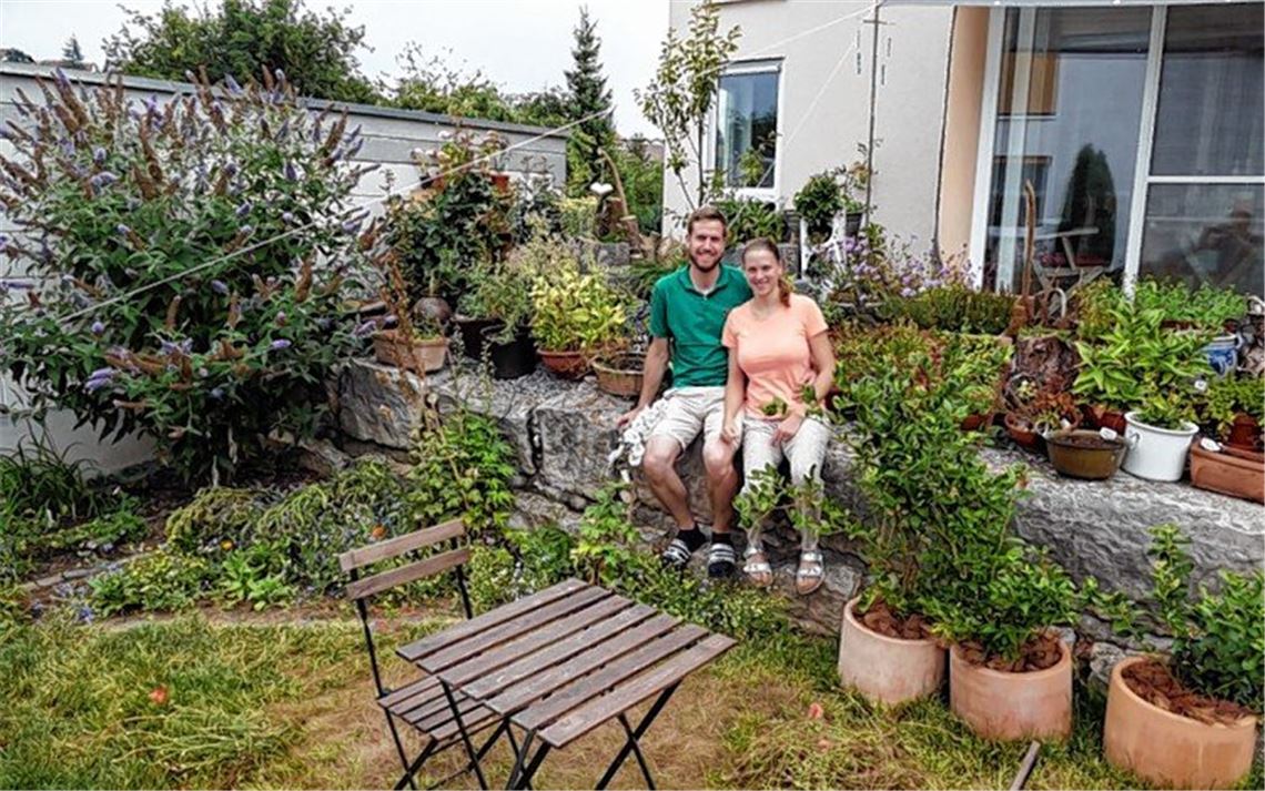 Gartenfreunde können viel für (Wild-)Bienen tun