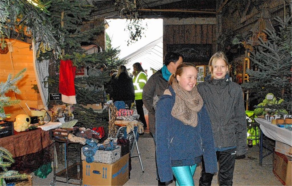 Advent auf dem Tier- und Gnadenhof: Ein Flohmarkt lädt zum Stöbern ein.