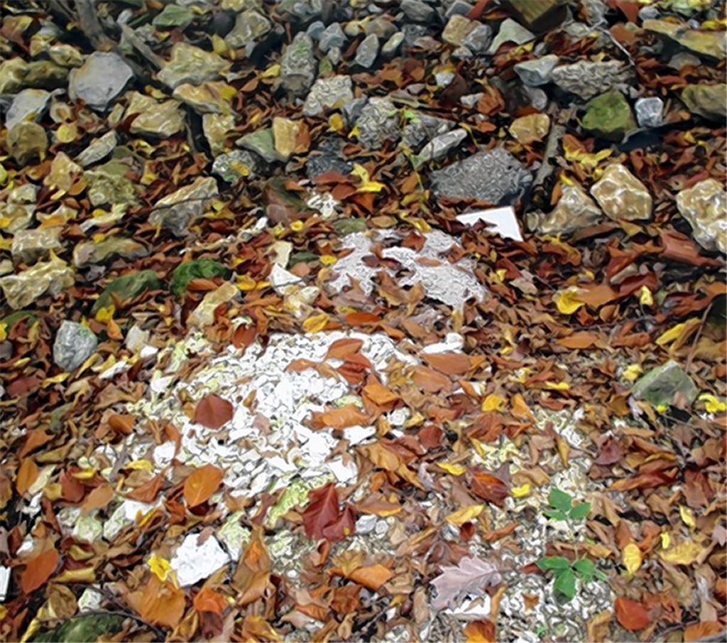 Ärgernis: Bauschutt im Wald.