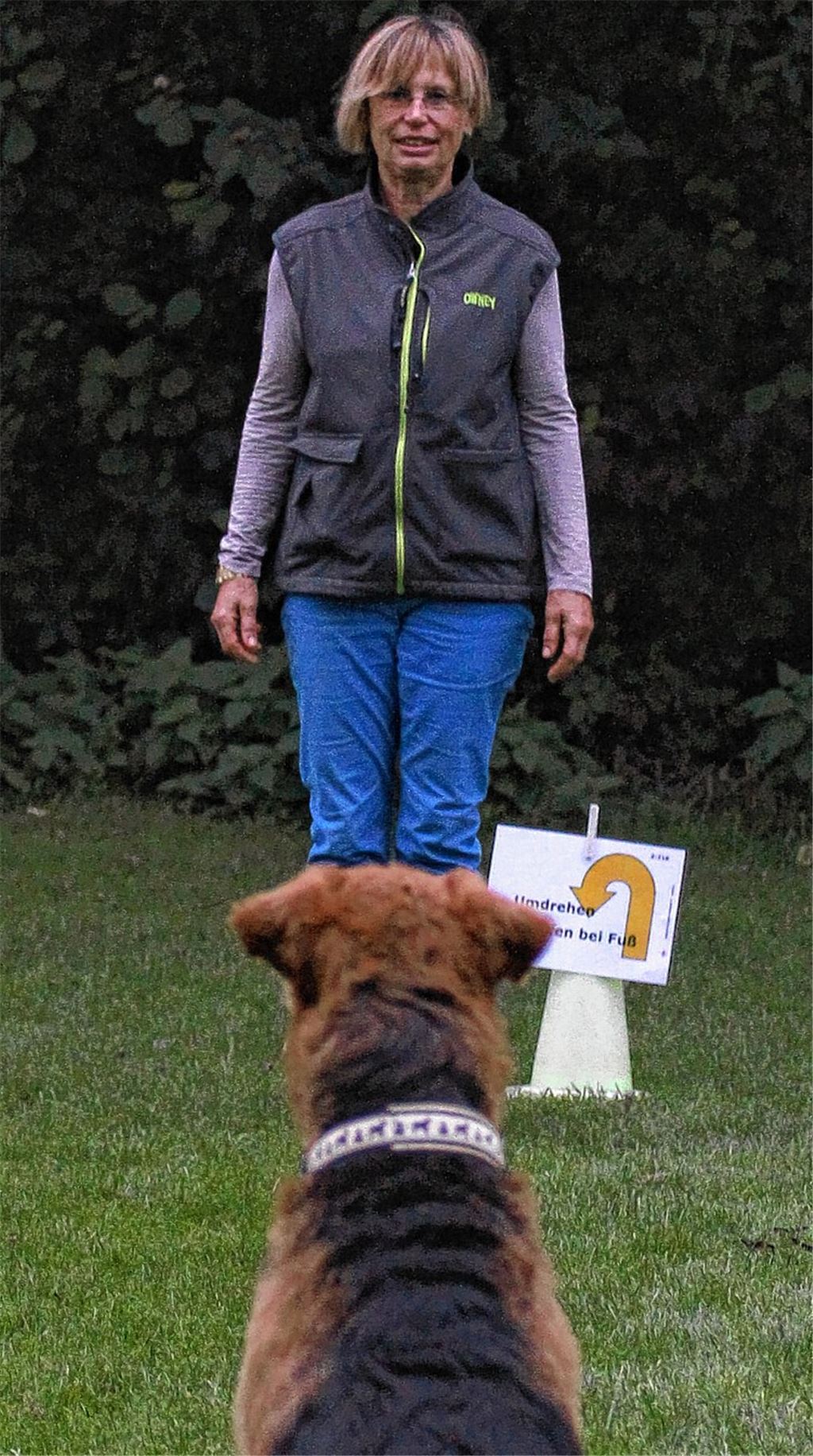 Airedale Timber hört genau auf die Kommandos von Ursula Rittinger.