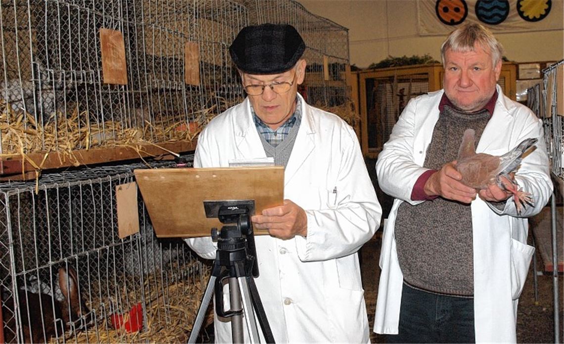 Akribisch bewerten die erfahrenen Preisrichter Heinrich Grimmel (li.) und Gerhard Stähle die Tauben und Hühner. Anschließend werden die Ergebnisse dokumentiert.