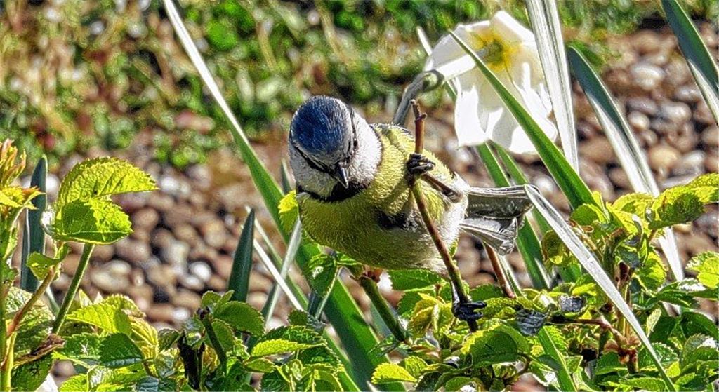 Durchs wilde Gardistan
