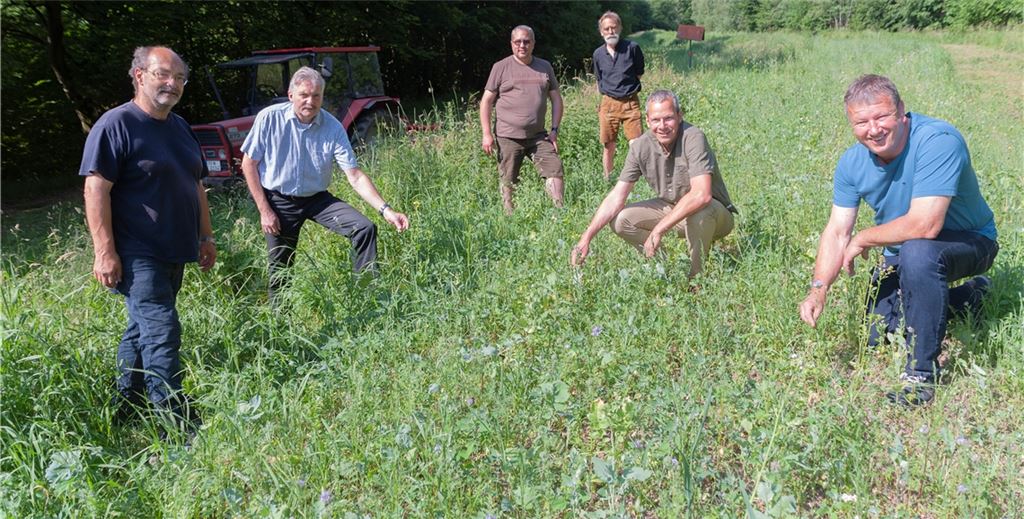 Aktion für Wildblumen