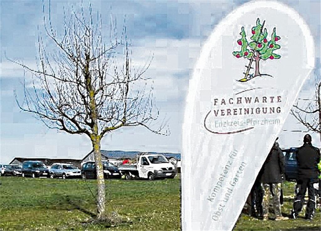 Fachwarte engagieren sich für Obstwiesen