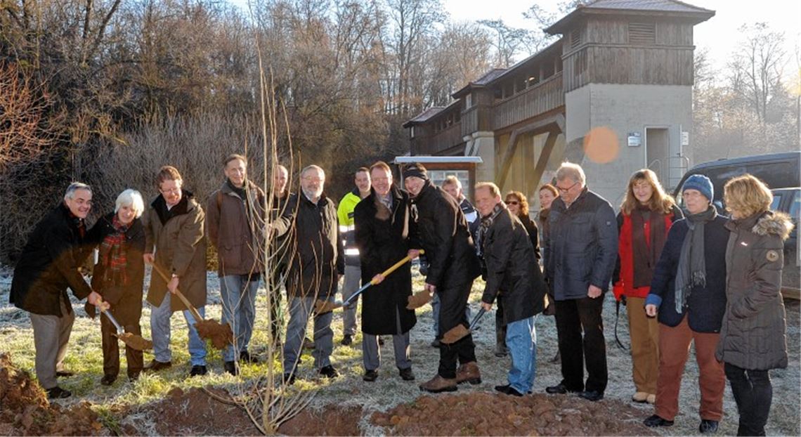 Aktiver Naturschutz: Vertreter des Arbeitskreises, der Stiftung, der EnBW, der Stadt Mühlacker und des Enzkreises pflanzen am Flusskraftwerk in Mühlhausen junge Neckar-Schwarzpappeln.