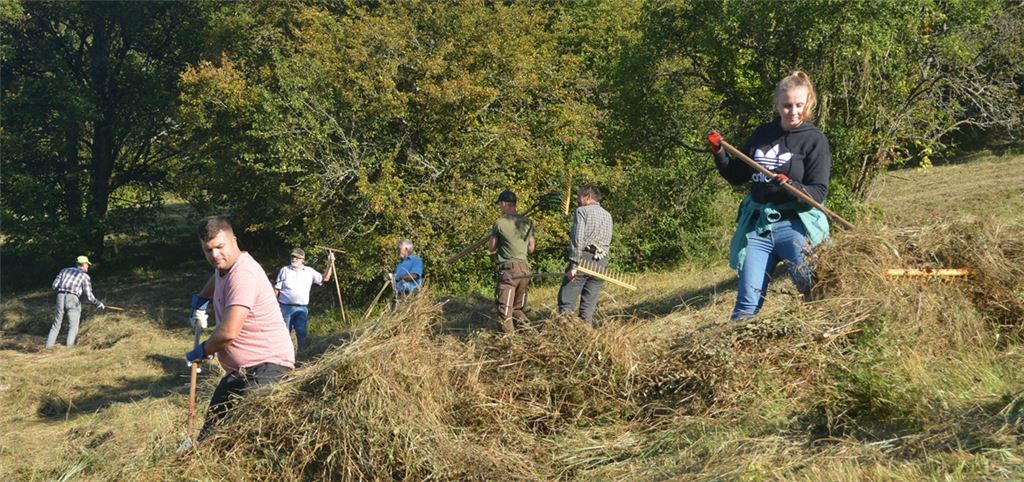 Aktiver Naturschutz am steilen Hang: Mit dem Holzrechen wird das Mähgut von zahlreichen Freiwilligen eingesammelt.Foto: Stahlfeld