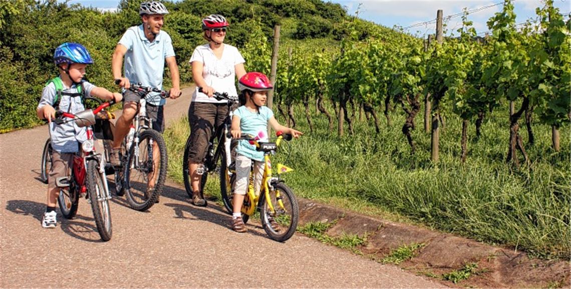Aktivurlaub mit der gesamten Familie in den Weinbergen von Sternenfels: Die Sandbauerngemeinde zählt pro Jahr über 7500 Übernachtungen. Foto: Kraichgau-Stromberg-Tourismus