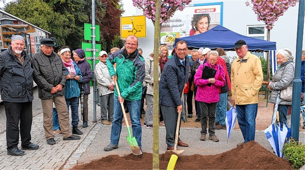 Winterlinde passt zu aktuellen Temperaturen