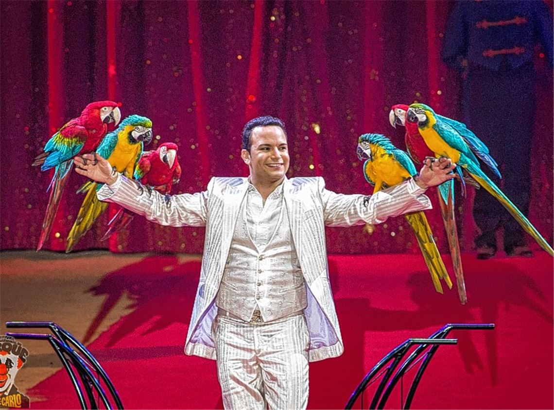 Alessio und seine fröhlichen Papageien wollen das Publikum unterhalten.