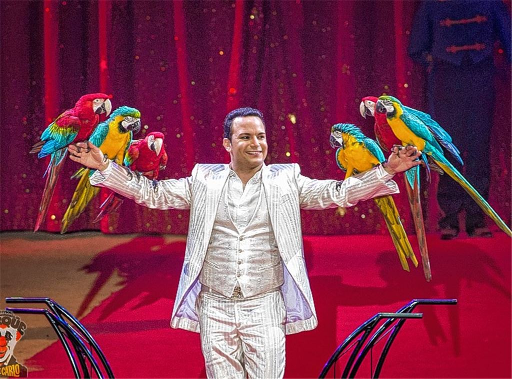 Alessio und seine fröhlichen Papageien wollen das Publikum unterhalten.