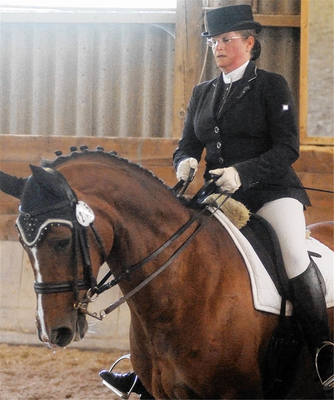 Stelldichein der Hufschlagakrobaten