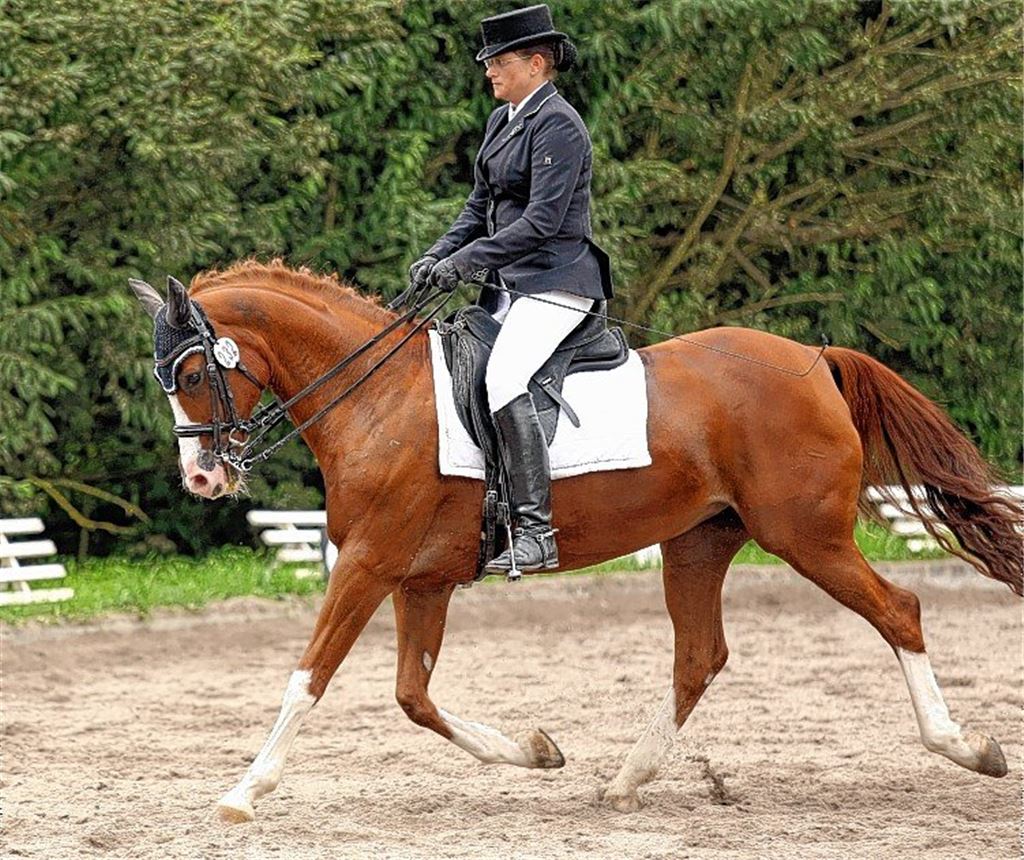 TV Mühlacker lädt auf die Wasserhalde ein
