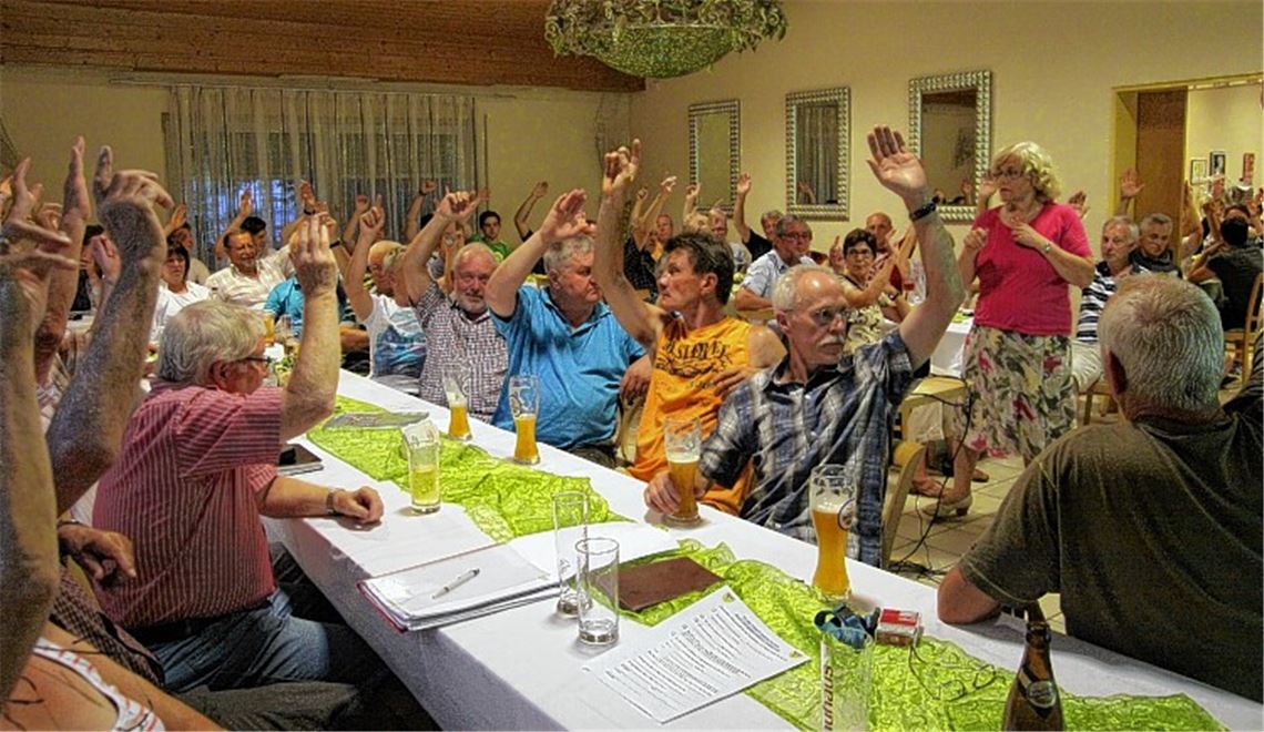 Alle Fragen hinsichtlich technischer Ausführung und Finanzierung sind zur Zufriedenheit der Mitglieder beantwortet: Der Baubeschluss für einen Kunstrasen fällt einstimmig. Foto: Eigner