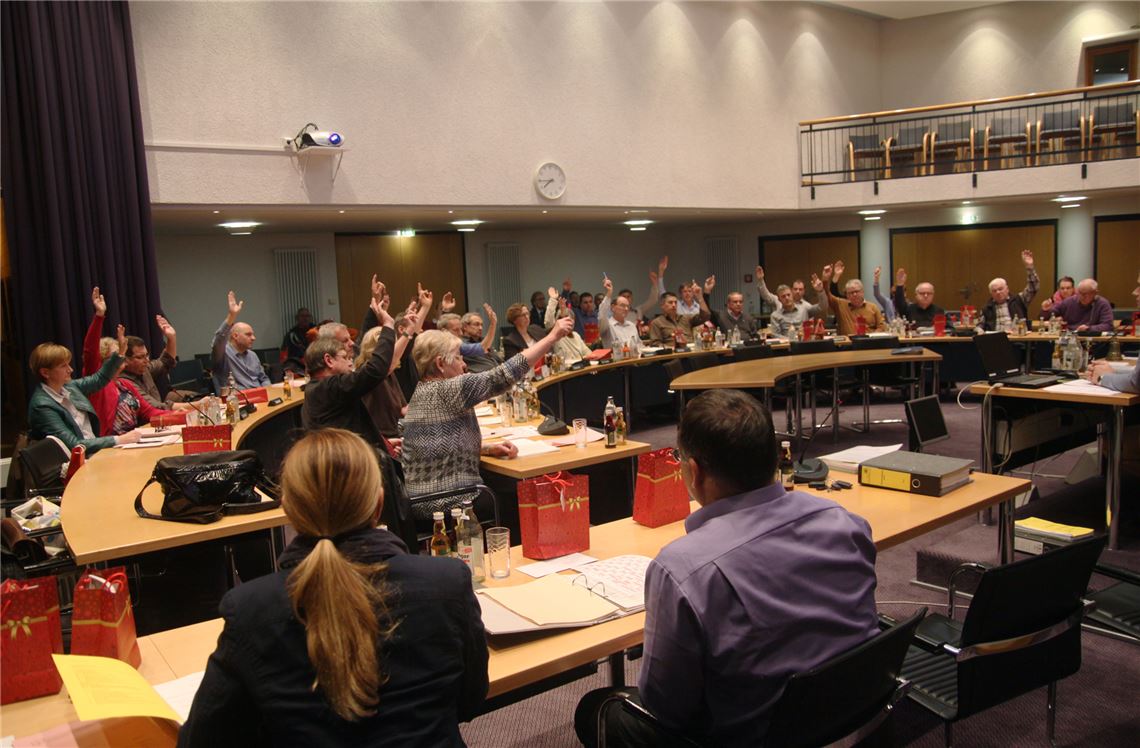 Alle Hände gehen nach oben: Unabhängig vom Diskussionsbedarf in wichtigen Fragen der Stadtentwicklung ist der Haushaltsplan 2015 im Mühlacker Gemeinderat unumstritten.  Foto: Eier