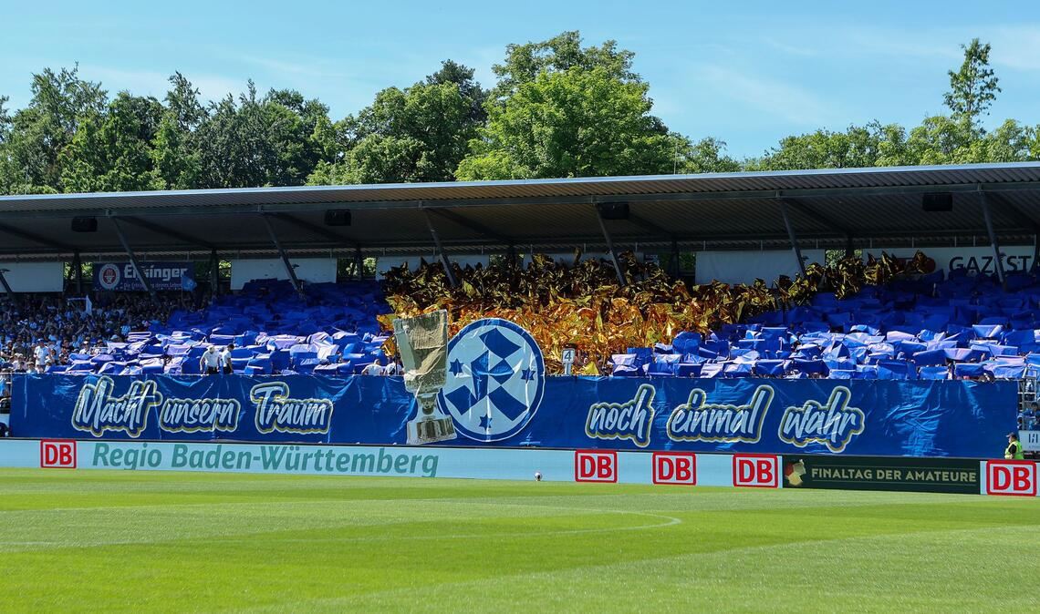 Alles fest in blauer Hand.