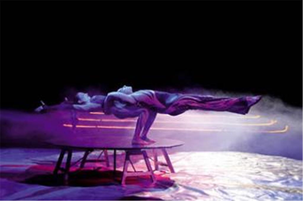 Alles nur statische Halteübungen? Das Duo Balasz vom Zirkus Renz zaubert in der Manege durch reine Körperkraft scheinbar mühelos ästhetische Figuren. Fotos: Hansen