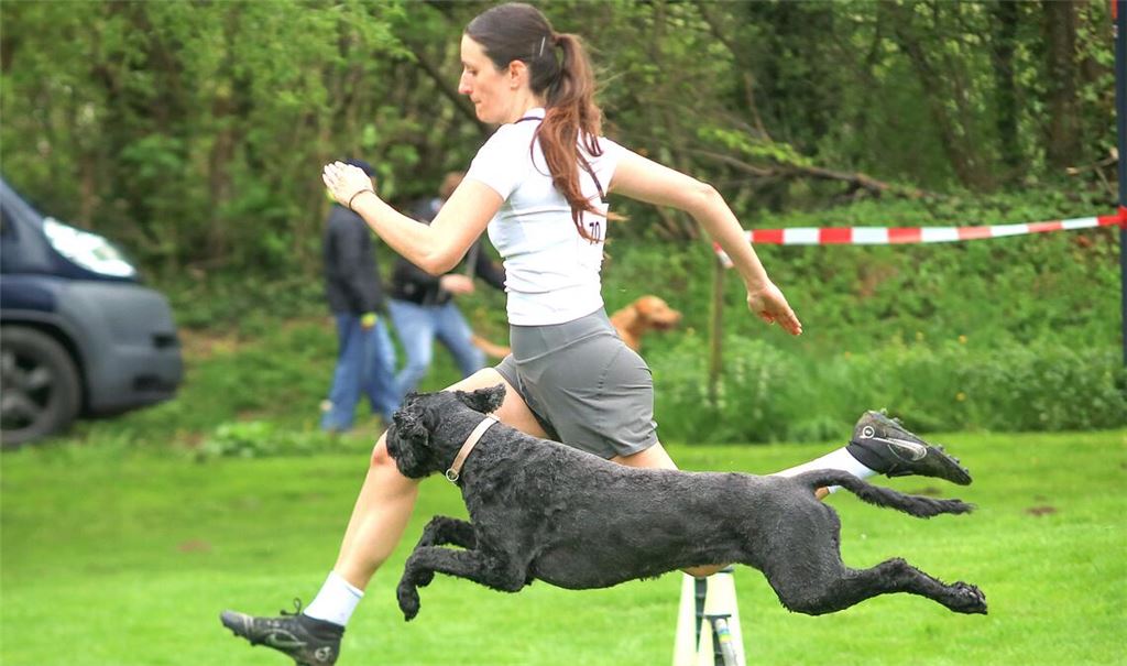 Als stärkstes Team im klassischen Vierkampf erzielen Maren Götz und Mira vom gastgebenden HSVM 275,48 Punkte. Foto: privat