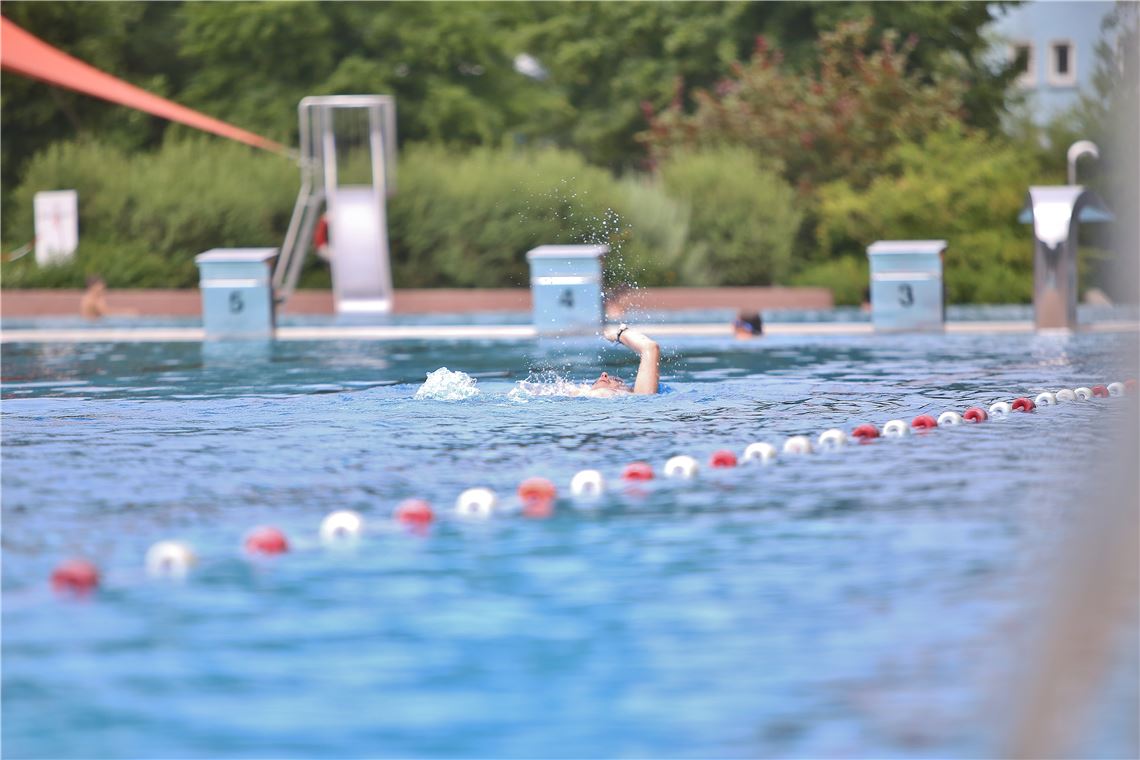 lh Freibad Mühlacker Zwischenbilanz (2)